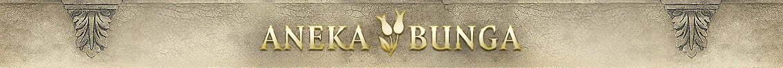Anekabunga Header