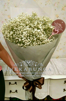 AnekaBunga.Com