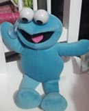 AnekaBunga.Com