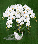 AnekaBunga.Com